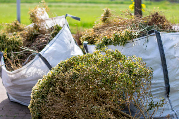 Best Electronics and E-Waste Disposal  in Stanton, TX